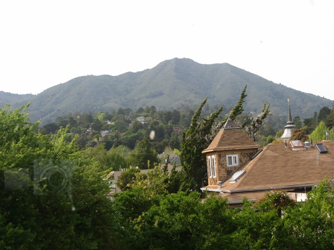 View of Mt. Tam from my office window